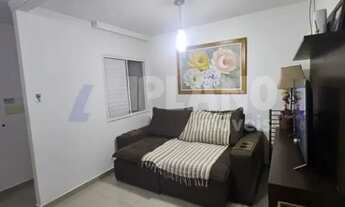 Imagem 6: Venda de Casas / Padrão na cidade de São Carlos