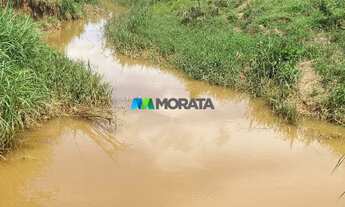 Imagem 5: FAZENDA À VENDA - 135 HECTARES - RIO CASCA (MG