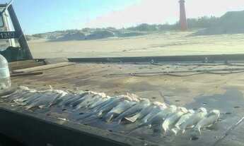 Imagem 7: Praia do Farol da Solidão