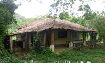 Imagem 7: 2166/Ótima fazenda de 260 ha em Além Paraíba MG