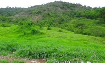 Imagem 3: 2166/Ótima fazenda de 260 ha em Além Paraíba MG