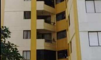 Imagem 3: Campo Limpo Pedras Raras