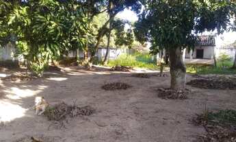 Imagem: Oportunidade Sítio em Nossa Senhora do