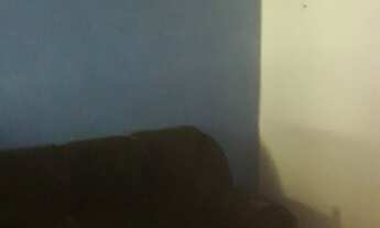 Imagem 5: Vendo Casa com 1 dormitório