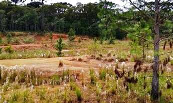 Imagem 2: Excelente Chácara Sem benfeitorias