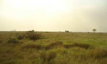 Imagem 2: Fazenda para Venda em Santo Antônio do Leverger, Engenho Velho