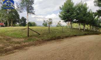 Imagem 3: Chácara com 2 dormitórios à venda, 6600 m² por R$ 285.000,00 - Rio Abaixo - Campina Grande