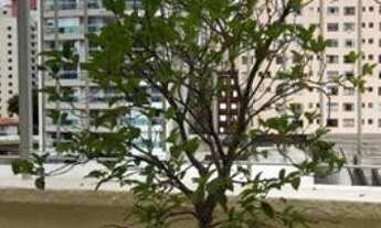 Imagem 3: LINDA COBERTURINHA , 2 DORMITORIOS COM VAGA , TODA REFORMADA