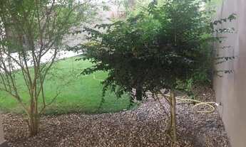 Imagem 4: Excelente apartamento amplo no bairro Zildolândia. Financia