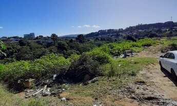 Imagem 2: Lote/Terreno para venda tem 14000 metros quadrados em São Tomé - Viamão - RS