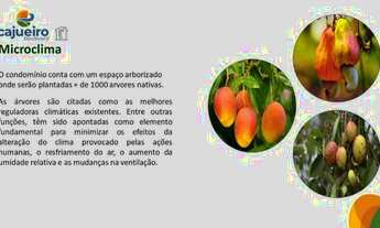 Imagem 7: Lotes em Condomínio Fechado em Touros - Cajueiro Boulevard - A partir de 60.000,00