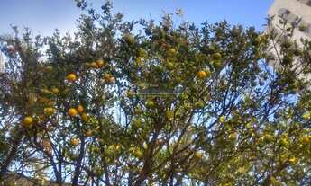 Imagem 5: LINDO AP DE 03 DORM.S 02 BANHEIROS E 01 VAGA COM 100 M2 BBM PRÓXIMO AO METRÔ SAÚDE