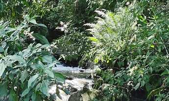 Imagem 6: Sítio a venda na Colônia Santana em São José