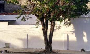 Imagem: Rua Eduardo Angelim, 67 Montese