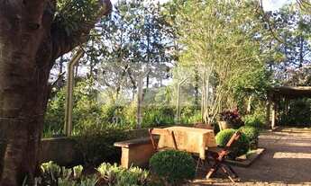 Imagem 3: Sítio - Rural - Morungaba