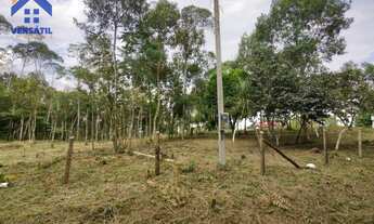 Imagem 2: Chácara com 2 dormitórios à venda, 6600 m² por R$ 285.000,00 - Rio Abaixo - Campina Grande