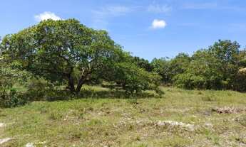 Imagem 6: Vende-se uma granja com 2 ha com rio perene - Povoado de Caiana - Ceará Mirim - RN