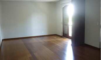 Imagem 5: PINHEIROS LINDEMBERG