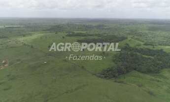 Imagem 2: Fazenda no Pará - Mãe do Rio - PA
