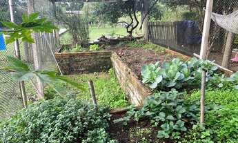 Imagem 7: ESCRITURADO!!! Belo sítio c/casa, piscina e baita galpão, apenas 300mts da parada de ônibu