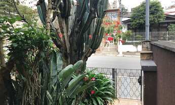 Imagem 3: CASA TÉRREA - 3 DORMITÓRIOS SENDO 1 SUITE, 3 BANHEIROS E 2 VAGAS