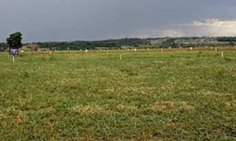 Imagem: Oportunidade! Lote 250 metros no Top do