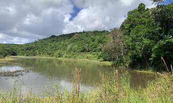 Imagem 5: VENDO FAZENDA EM ALEGRE, ES