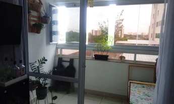 Imagem 4: ! Arboris Jabotiana 77477