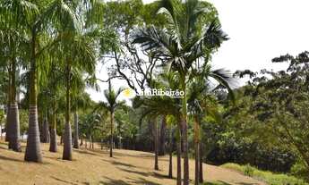 Imagem 6: Terreno a venda no Condomínio Bela Vista. Bairro Jardim Olhos D'agua