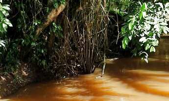 Imagem 2: Vendo fazenda em Nazaré das farinha