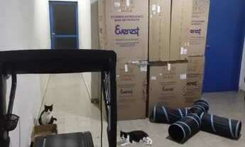 Imagem 6: Casa no Poço Casa com 2 dormitórios