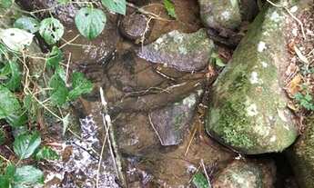 Imagem 7: LINDO SÍTIO 3.1 HECTARES COM ÁGUA! ACESSO FÁCIL