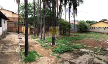 Imagem: LOTE - SETOR NEGRÃO DE LIMA