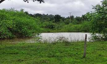 Imagem 6: Vendo excelente fazenda em aldeias-MA