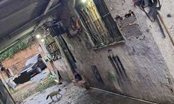 Imagem 4: Casa no centro da figueira