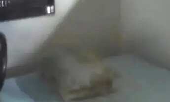 Imagem 4: Vendo casa no bairro Nova cidade prox da escola tereza tupinambá