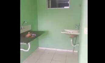 Imagem 7: Aluguel apartamento Mario covas