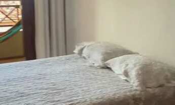 Imagem 4: Flat Cumbuco Apartamento com 1 dormitório