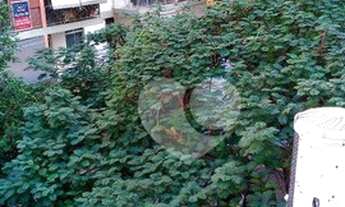 Imagem 6: Apartamento com 2 dormitórios à venda, 65 m² por R$ 690.000,00 - Glória - Rio de Janeiro/R