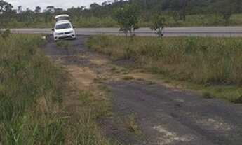 Imagem 7: Fazenda/sitio 200 hectares Pracuuba-AP