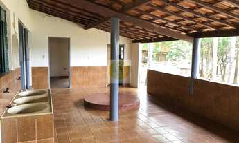 Imagem 2: LOTE - SETOR NEGRÃO DE LIMA