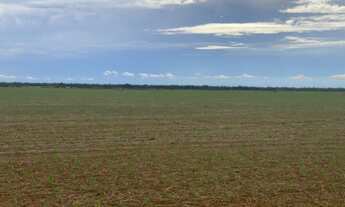Imagem 4: Fazenda em Nova Ubiratã MT á venda