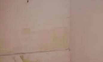 Imagem 3: Casa para aluguel possui 100 metros quadrados com 2 quartos em Henrique Jorge - Fortaleza