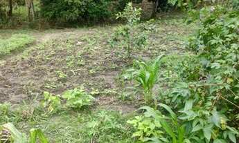 Imagem 4: CHACARA EM JUQUIÁ/SP