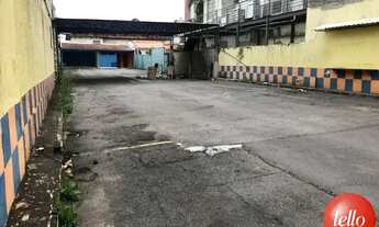 Imagem 5: São Paulo - Terreno Padrão - Moema