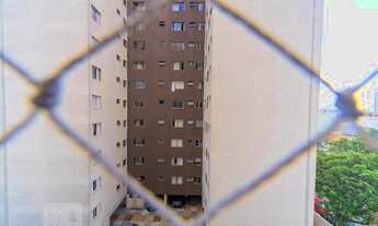 Imagem 6: Apartamento para Aluguel - Baeta Neves, 2 Quartos, 58 m2