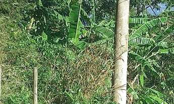 Imagem 5: Vendo terreno na Armação com vista para o mar, Ilhabela,topografia em aclive, exuberante