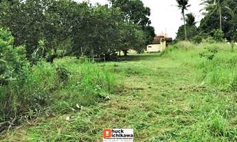 Imagem 5: Chácara de 10 tarefas COLÔNIA TREZE - Centro