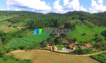 Imagem 2: FAZENDA EMPRESA - REGIÃO VIÇOSA (MG