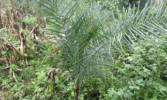 Imagem 6: Casa à venda no bairro Setor Santos Dumont em Goiânia/GO